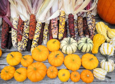 Gourds and Corn