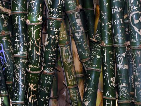 Graffiti on bamboo