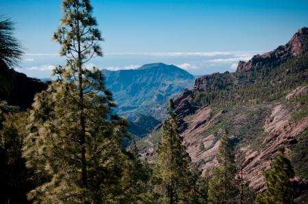 Gran canaria landscape