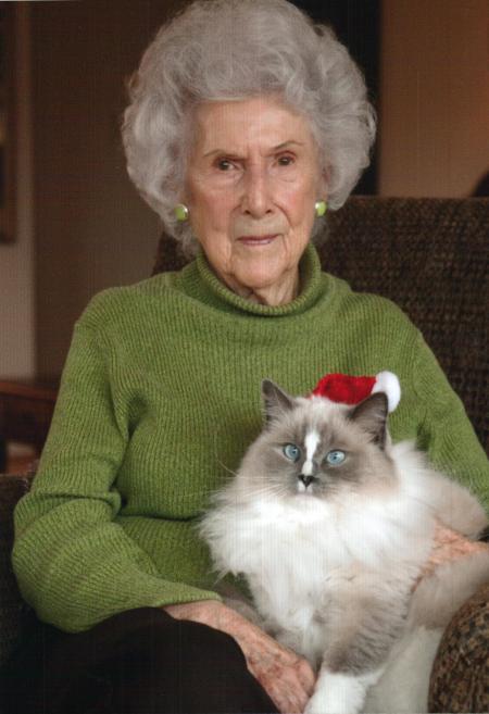 Grandma cat