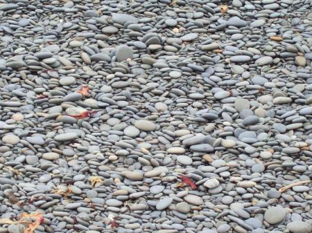 Granite pebbles - beached and sorted