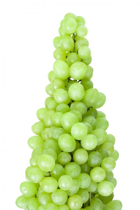 Grapes