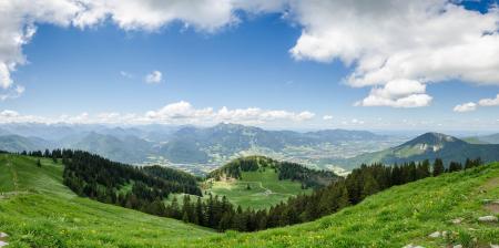 Grass and Pine Tree Coated Hill during Cloudy Daytime