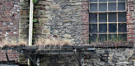 Grasses at the Top of Building Structure during Daytime