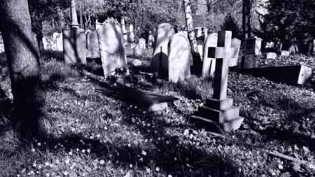 Grave & Memorial Stones~Cemetery