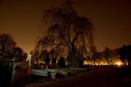 Graveyard in the City