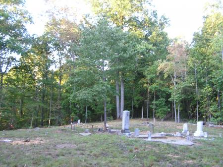 Graveyard pines