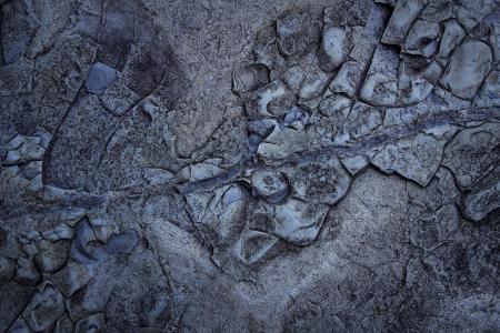 Gray and Blue Land Form