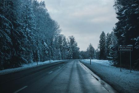 Gray Asphalt Road Between Trees Covered by Snows