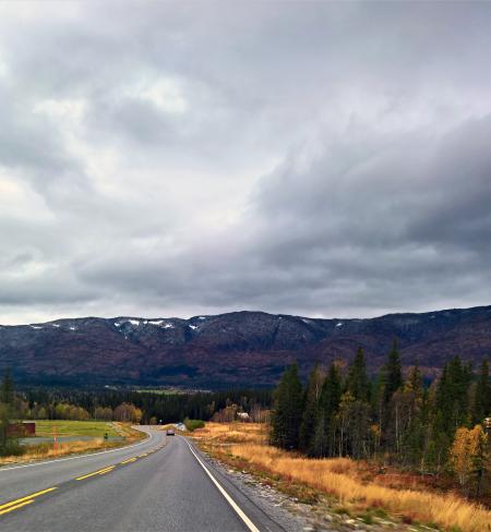 Gray Asphalt Road With Trees Under Cloudy Sky