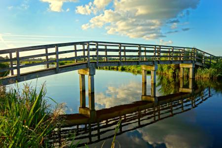 Gray Concrete Base Wooden Footbridge Between Green Grass during Daytime