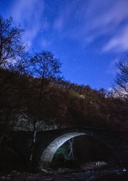 Gray Concrete Bridge Near Trees