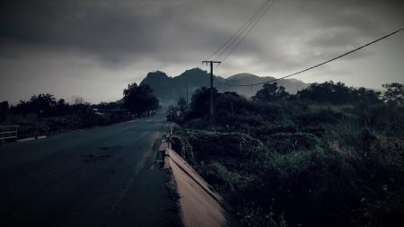 Gray Concrete Road Surrounded by Trees