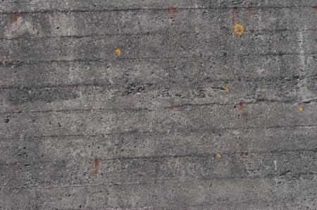 Gray Concrete Texture