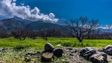 Gray Rock Near Green Grass