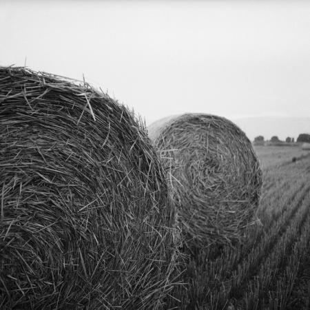 Gray Scale Photo of Haystack on Field