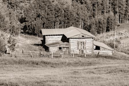 Gray Scale Photography of House Beside Trees