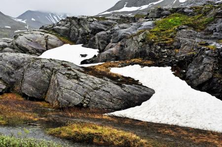 Gray Stone Surrounded by Snow