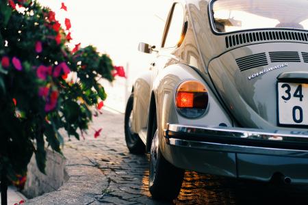 Gray Volkswagen Beetle Near Pink Flowers