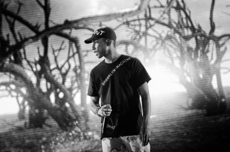 Grayscale Photo of a Person Near Leafless Trees