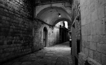 Grayscale Photo of Brick Walled Alley