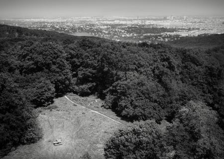 Grayscale Photo of Mountain With Trees