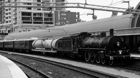 Grayscale Photo of Train