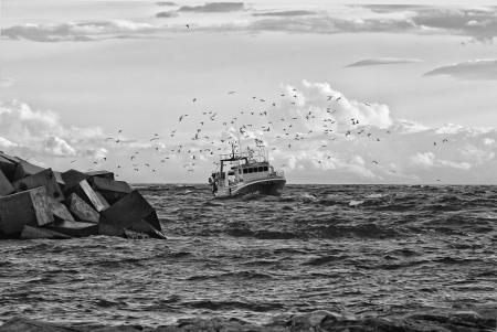 Grayscale Photo Of Yacht