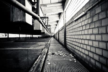 Grayscale Photography of a Pathway