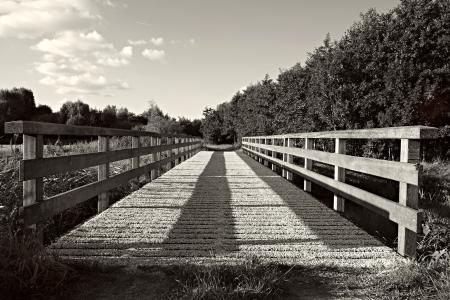 Grayscale Photography of Bridge