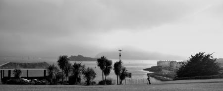 Grayscale Photography of Building Near Body of Water