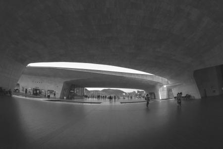 Grayscale Photography of Group of People Under Concrete Structure