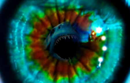 Great white shark attack eye reflection