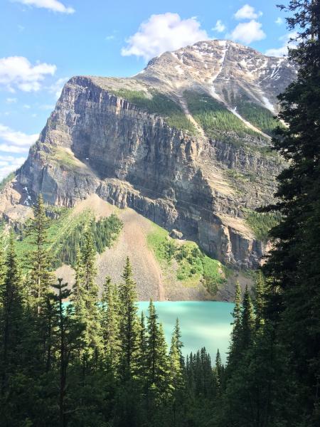 Green and Brown Mountains