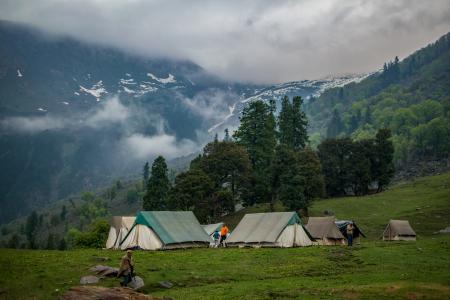 Green and White Tents Near Trees