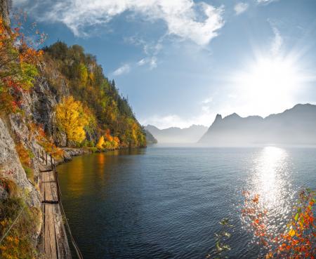 Green and Yellow Tree Near Body of Water