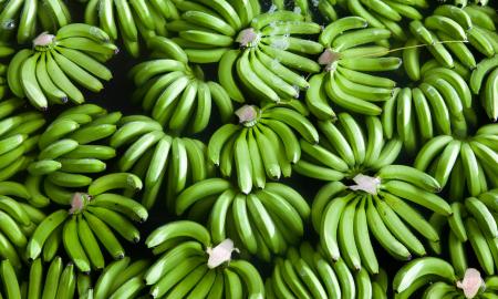 green bananas