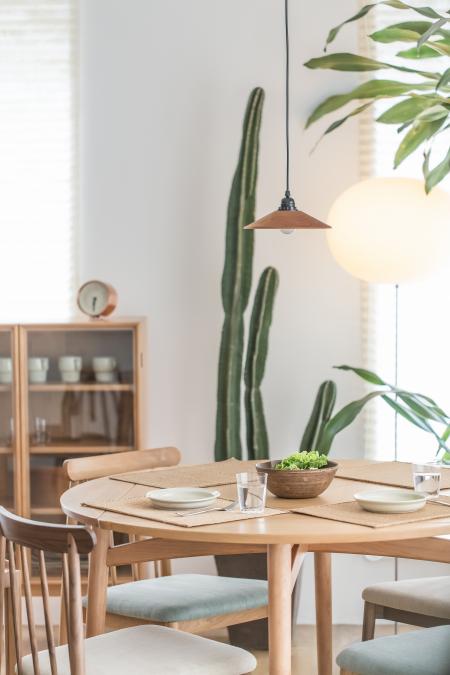 Green Cactus Plant Near to White Ceramic Plate on Brown Wooden Table