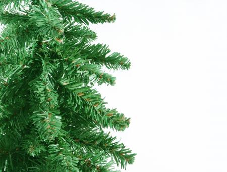 Green Christmas tree border
