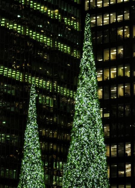 Green Christmas Trees Dwarfed by Buildings