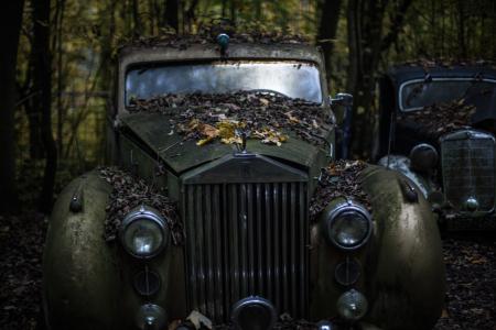 Green Classic Car in the Forest