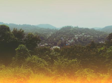 Green Coated Hill With Houses
