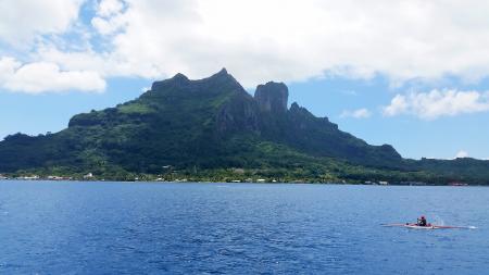 Green Covered Mountain