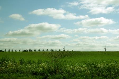 Green field