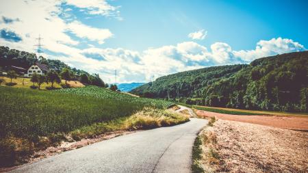 Green Field and Road in Landscape Photography