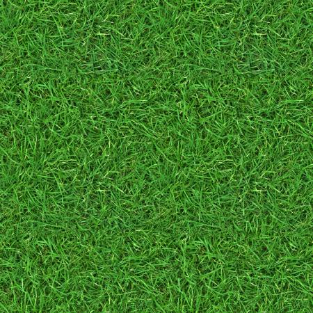 Green Field Texture