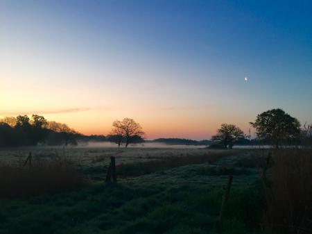 Green Field With Smog during Sunrise