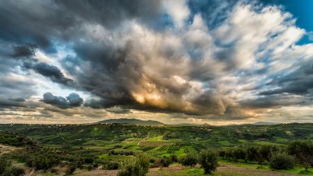 Green Forest Under Cloudy Sky