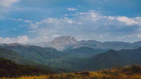 Green Forest With Brown Rock Formation Background