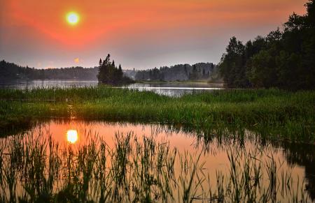 Green Grass Across the Lake